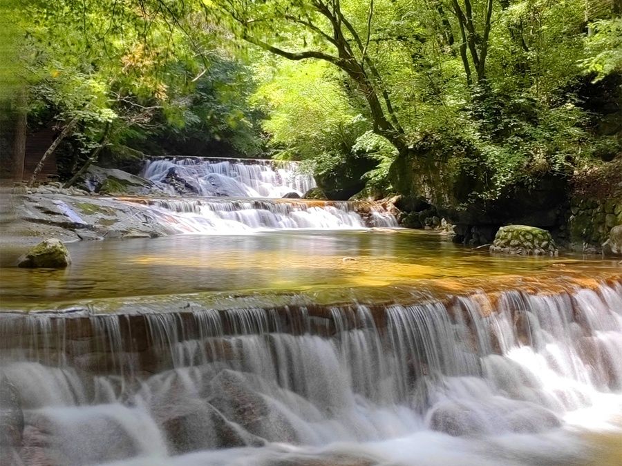 溪水潺潺山涧绿