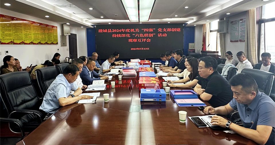 机关“四强”党支部创建持续深化“六色联创”活动观摩互评会