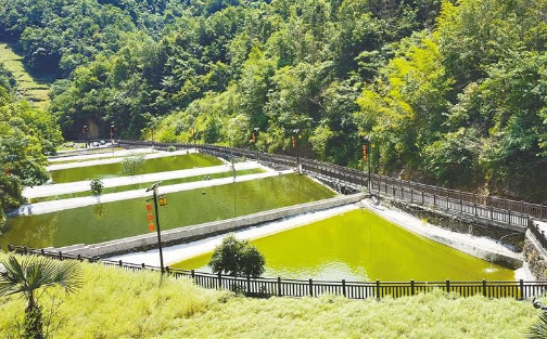 白河县宋家镇快活岭水产养殖场。资料照片