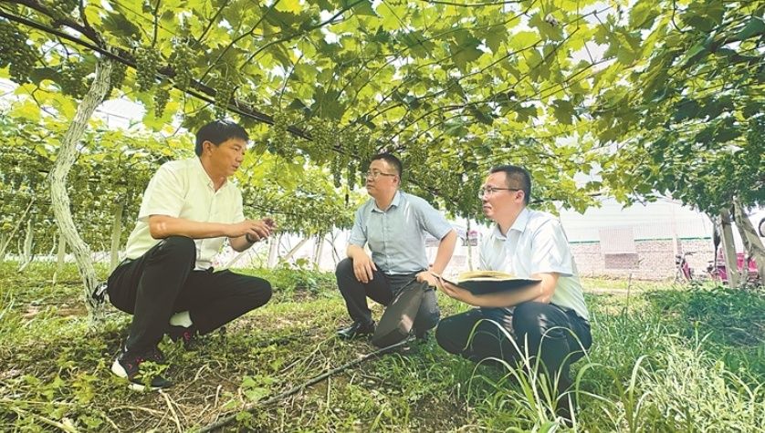 陕西省扶风县纪委监委聚焦民生领域问题线索，紧盯侵害群众切身利益的人和事，持续发力惩治群众身边“蝇贪蚁腐”。图为该县纪检监察干部在城关街道西官村集体经济合作社了解相关情况。袁文君 摄