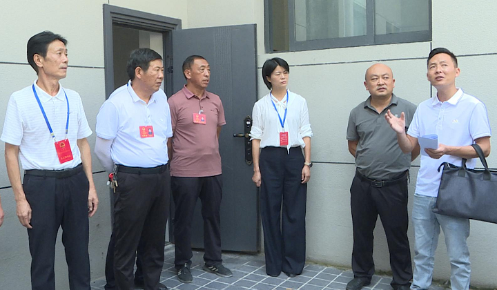 蔺河镇人大一行就全镇殡葬改革工作开展微视察
