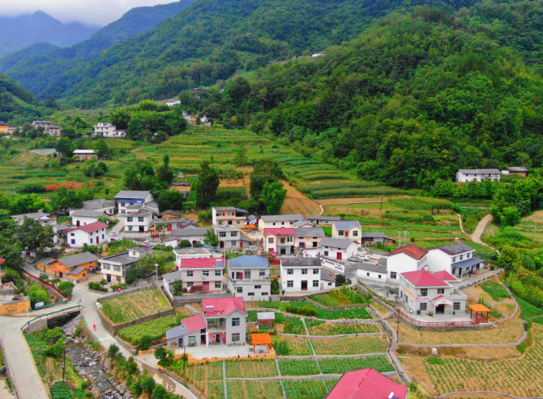 青山环抱中的枣树村