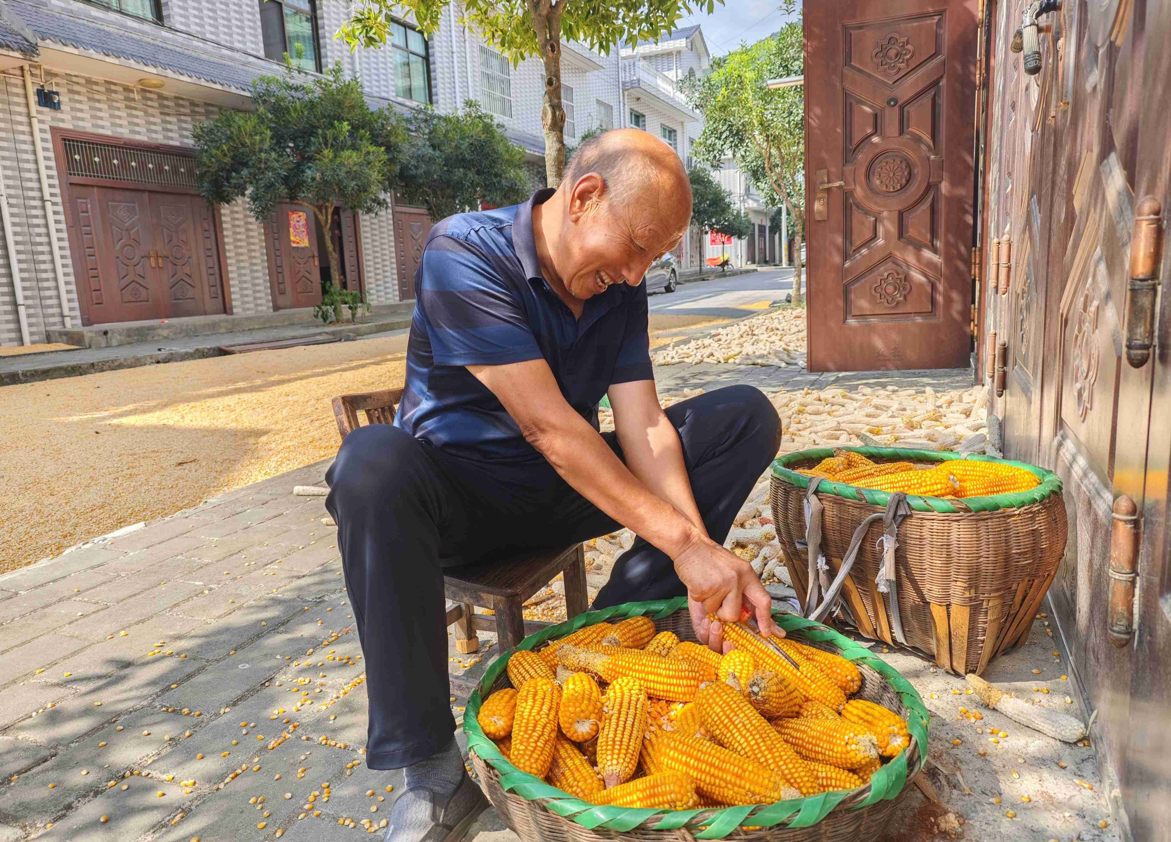 农户进行玉米脱粒 江荣霞 摄