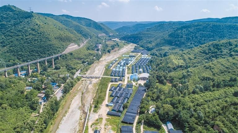 庙湾镇是种植香菇的“黄金地带”。图为坐落于该镇的铜川德祥实业有限公司菇棚（无人机照片）。受访单位供图