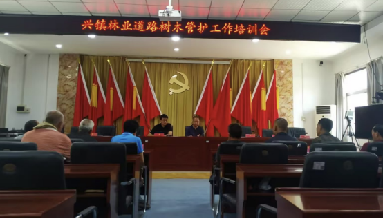 培训会现场(图片由蒲城县兴镇人民政府提供)