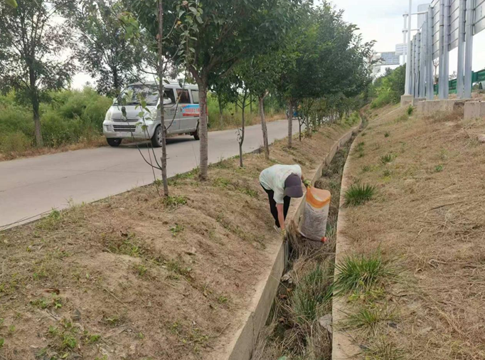 清理村内巷道杂草